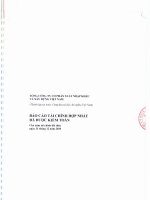 tổng công ty cổ phần xuất nhập khẩu xây dựng việt nam vinaconex báo cáo tài chính hợp nhất đã được kiểm toán cho năm tài chính đã được kiểm toán ngày 31 tháng 12 năm 2010