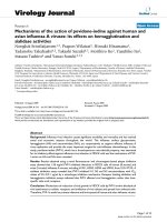 Báo cáo khoa học: 