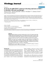 Báo cáo khoa học: 