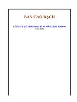 bản cáo bạch công ty cổ phần bao bì xi măng hải phòng năm 2009