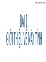 Bài giảng điện tử môn tin học: Giới thiệu về máy tính potx
