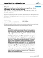 báo cáo khoa học: