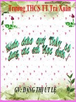 Bài giảng điện tử môn lịch sử: anh em họ Khúc pps