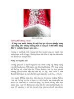 Ảnh minh họa Đường hiểu đúng và sai - Cũng như muối, đường là một loại gia pot