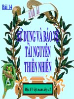 Giáo án điện tử môn địa lý: Tây nguyên ppt