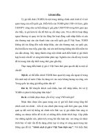 Chính sách tỷ giá Việt Nam trong giai đoạn hiện nay ppt