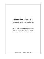 BÁO CÁO TÓM TẮT docx