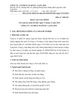 báo cáo tài chính cho năm tài chính kết thúc ngày 31 tháng 12 năm 2010 công ty cổ phần xi măng lạng sơn