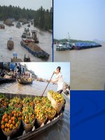 Giáo án điện tử môn Địa Lý: Đường sông hồ docx