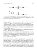 Biochemical, Genetic, and Molecular Interactions in Development - part 8 pps