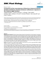 báo cáo khoa học: 