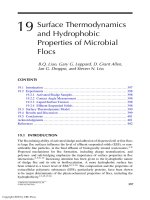 Flocculation In Natural And Engineered Environmental Systems - Chapter 19 ppt