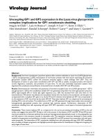 Báo cáo khoa học: 