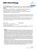 báo cáo khoa học: 