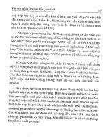 Công nghệ sinh học - Những vấn đề trong thế kỷ XXI part 3 doc