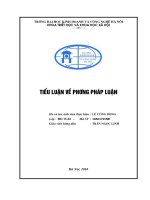 Tiểu luận về phương pháp luận