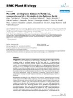 báo cáo khoa học: 