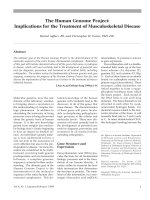 Điều trị của bệnh cơ xương ppt