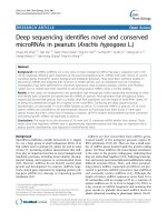 báo cáo khoa học: 