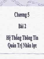 Bài giảng điện tử môn tin học: Hệ Thống Thông Tin Quản Trị Nhân lực pdf