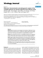 Báo cáo khoa học: 