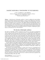 Oceanography and Marine Biology: An Annual Review (Volume 42) - Chapter 4 potx