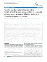 báo cáo khoa học: 