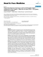 báo cáo khoa học: