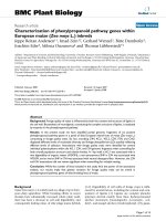 báo cáo khoa học: 