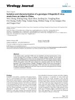 Báo cáo khoa học: 