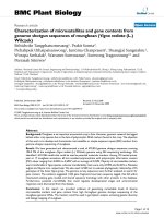 báo cáo khoa học: 