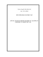 ứng dụng thương mại điện tử tại công ty tnhh điện tử meiko việt nam