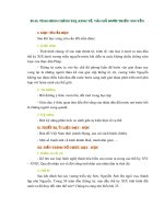 Bài 25.  TÌNH HÌNH CHÍNH TRỊ, KINH tế, văn HOÁ dưới TRIỀU NGUYỄN