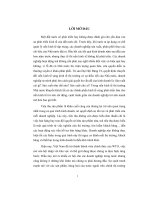 Một số giải pháp nhằm thúc đẩy hoạt động tiêu thụ sản phẩm dệt kim trên thị trường nội địa của công ty dệt may hà nội