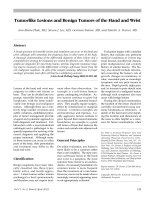 Khối u lành tính potx