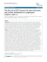 báo cáo khoa học: 