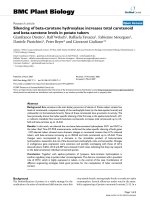 báo cáo khoa học: 