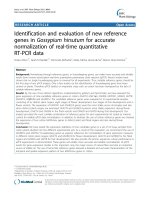 báo cáo khoa học: 