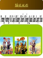 Bài giảng điện tử lịch sử: Trưng vương potx