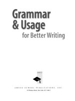 Grammar and Usage for Better Wirting_1 pps