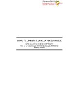 công ty cổ phần tập đoàn vinacontrol báo cáo tài chính hợp nhất cho kỳ kế toán  từ ngày 1 tháng 1 năm 2012 đến ngày 30 tháng 6 năm 2012 đã được soát xét
