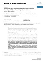 báo cáo khoa học: