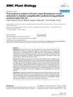 báo cáo khoa học: 