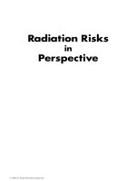 Radiation Risks in Perspective - Chapter 1 pot
