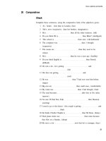 New grammar Practice Pre_2 potx