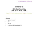 Chương 10: Hệ thống tài chính, tiền tệ và ngân hàng pptx