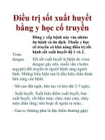 Điều trị sốt xuất huyết bằng y học cổ truyền doc