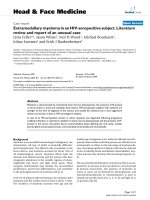 báo cáo khoa học: 