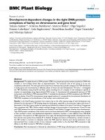 báo cáo khoa học: 