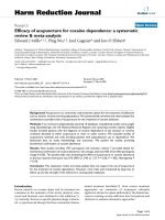 báo cáo khoa học: 